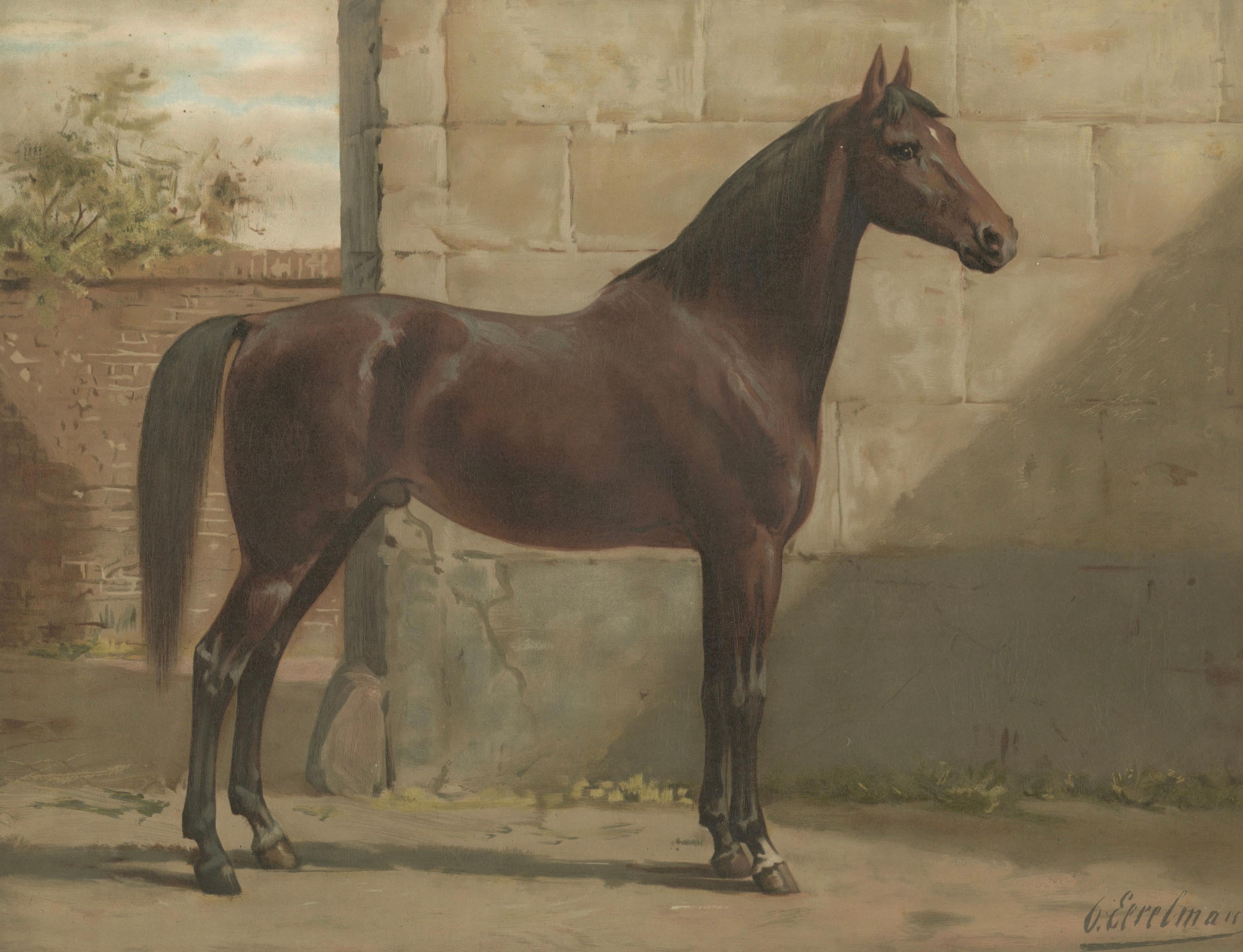 Antique East Prussian Horse Portrait 1898, Trakehner Equestrian Wall Art