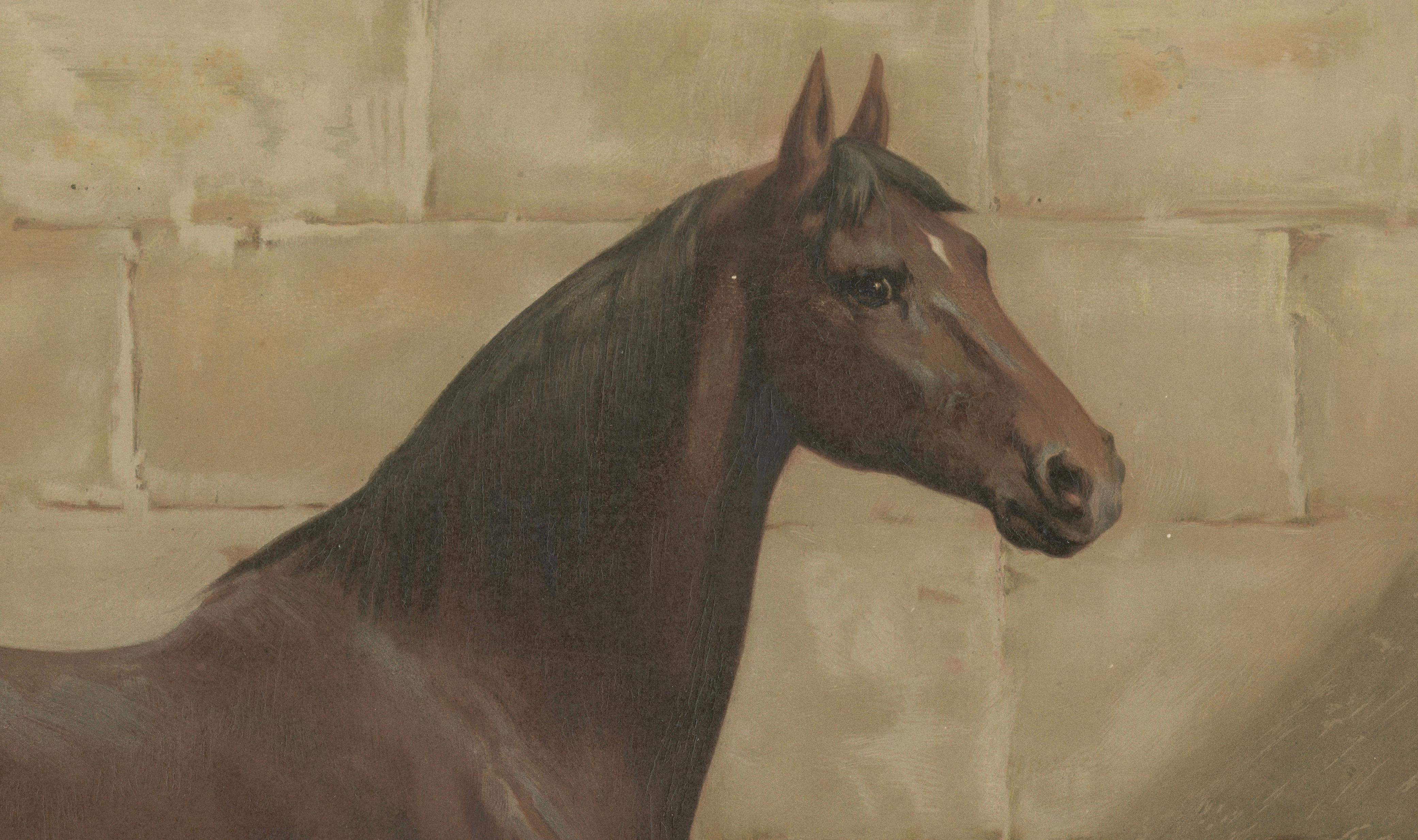 Antique East Prussian Horse Portrait 1898, Trakehner Equestrian Wall Art