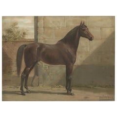 Antique East Prussian Horse Portrait 1898, Trakehner Equestrian Wall Art