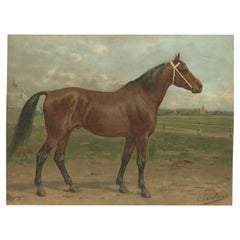 Antique East Prussian Horse Portrait, Trakehner Equestrian Lithograph 1898