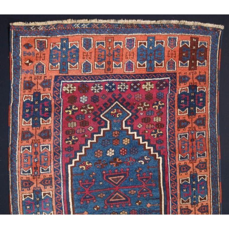 An excellent example of a Kurdish Yuruk prayer rug, with the classic bold design and intense dye colours. The wool is soft and glossy. The butterscotch coloured border frames the rug well and contrasts with the cochineal red light indigo blue