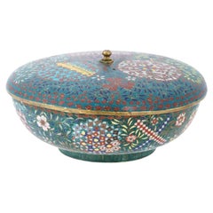 Antike Edo Japanische Cloisonne Geometrisches Design Box