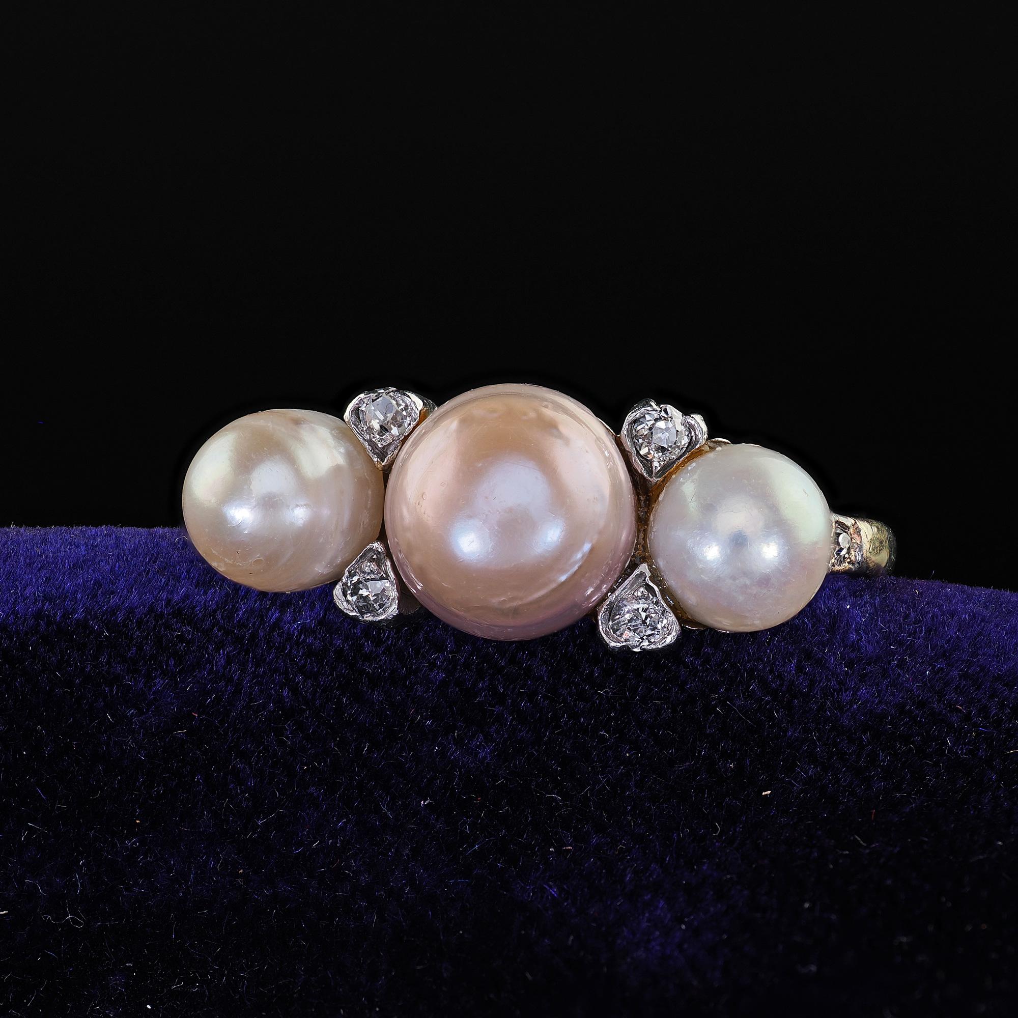 Bellissimo anello antico edoardiano in oro 14K e platino con perle naturali e diamanti. Questo splendido anello antico edoardiano con perla naturale e diamante è realizzato in oro 14k e platino. L'anello presenta tre perle naturali con diamanti