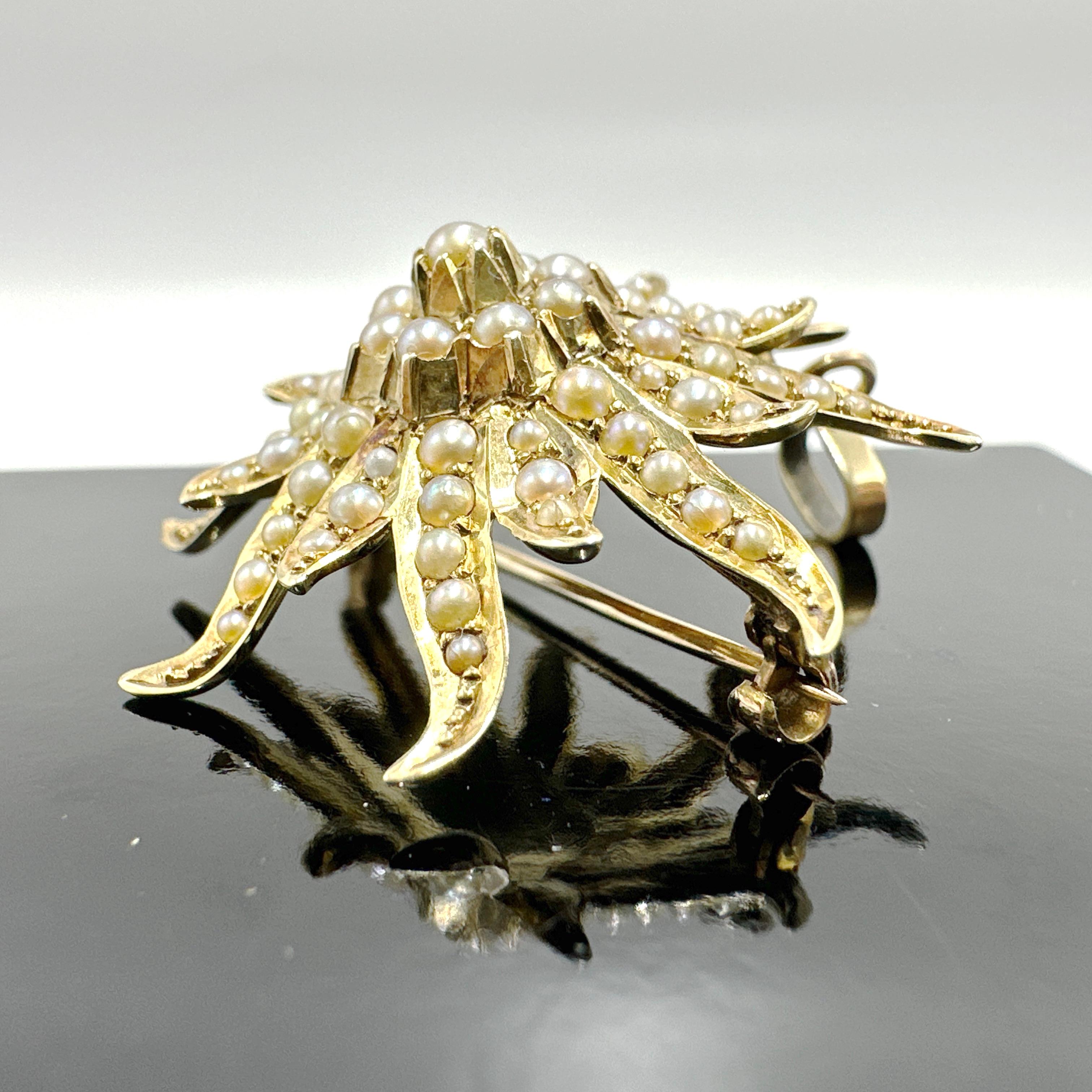 Antiguo broche/colgante eduardiano de oro amarillo de 14 quilates con perla de semilla natural Sunburst 1