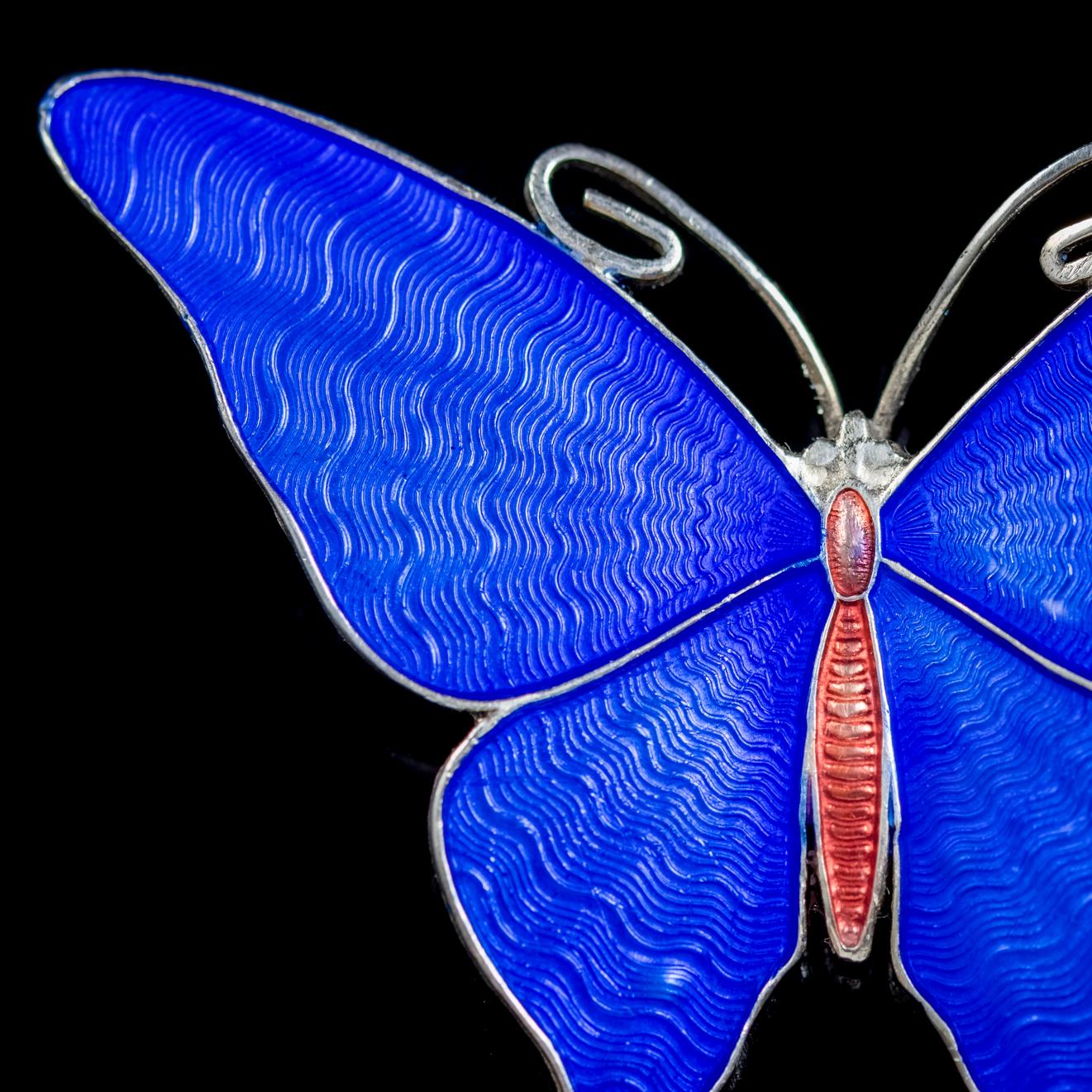 A delightful antique blue Enamel Butterfly brooch from the Edwardian era, Circa 1915. 

The pretty butterfly displays beautiful royal blue Plique-à-jour Enamel wings with a red Enamel body. 

Butterfly or insect jewellery is highly collectable and