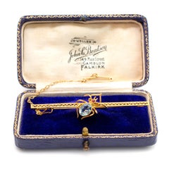 Antique Aquamarine & Ruby Spider Insect Brooch - Fine Quality - circa 1910
