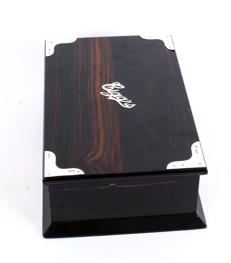 Antique Edwardian Coromandel Silver Mounted Cigar Humidor London 1902