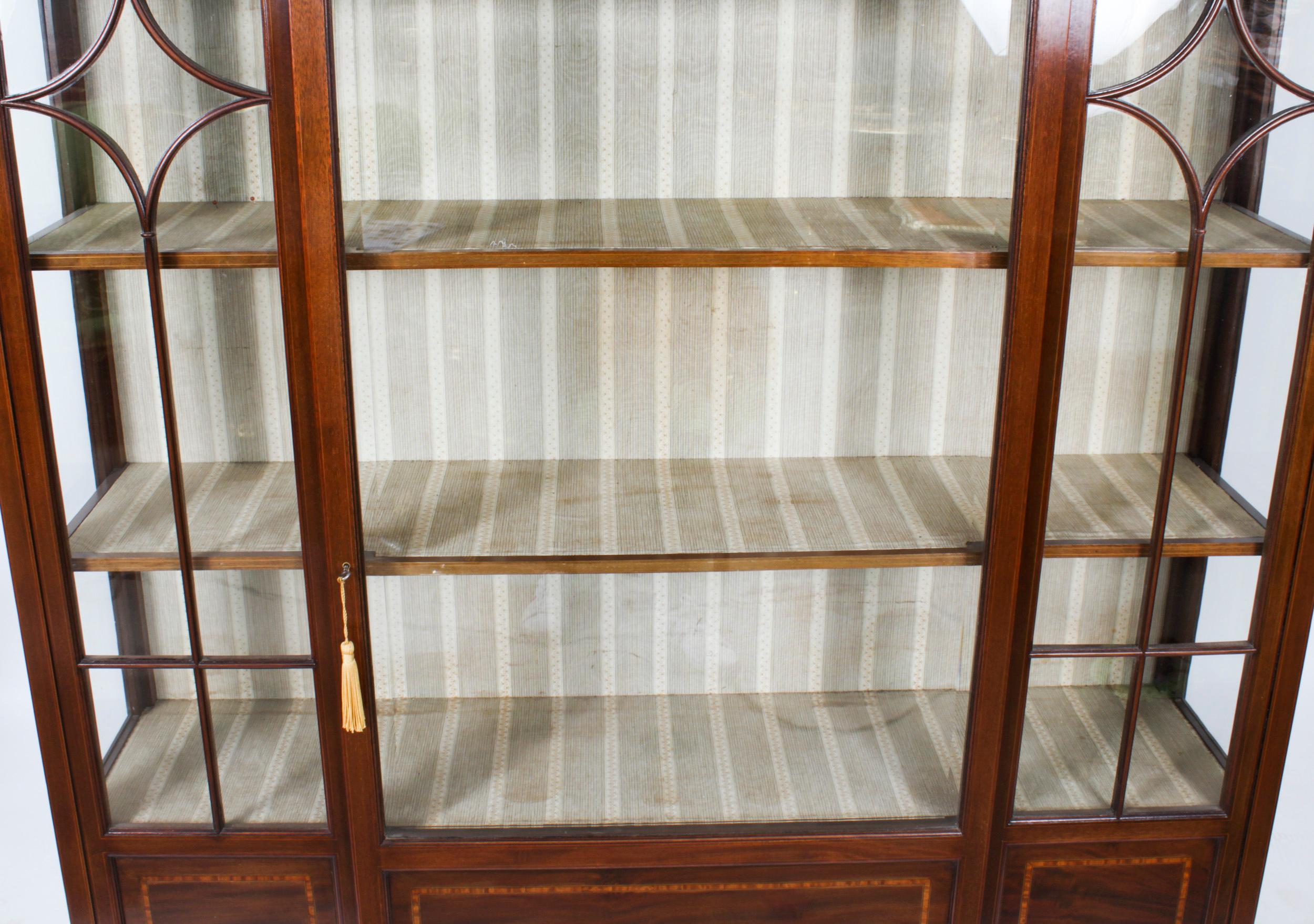 Antique Edwardian Display by Maple and Co Early 20th Century at