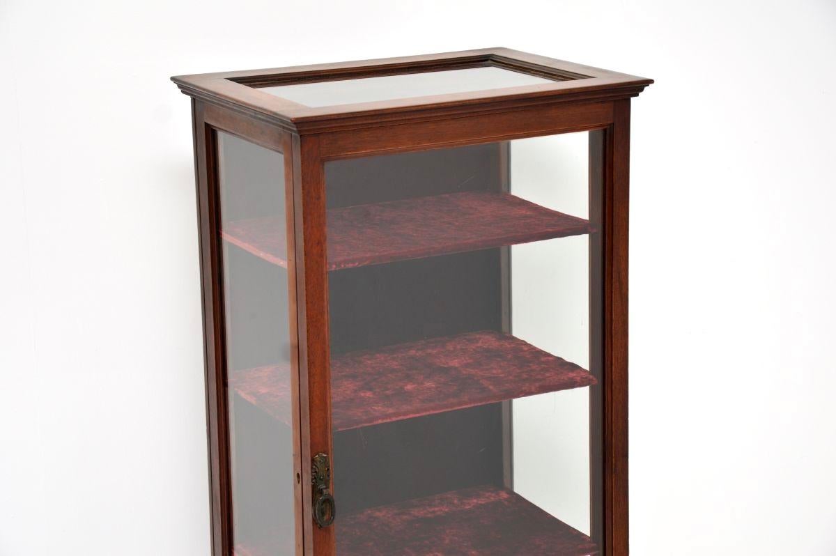 Inizio XX secolo Antico mobile da esposizione edoardiano in vendita