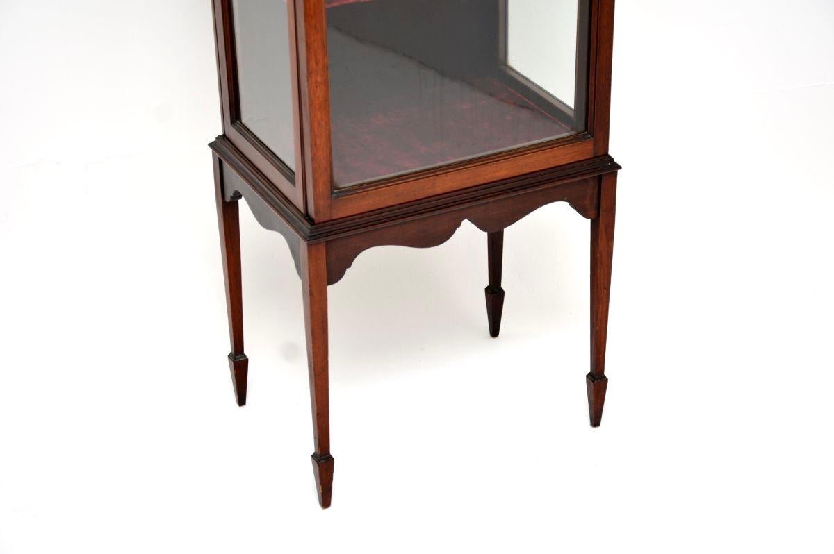 Antico mobile da esposizione edoardiano in vendita 1