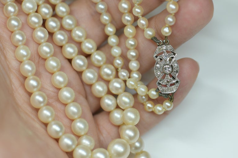 Antique Edwardian Double Strand Cultured Pearl Necklace with