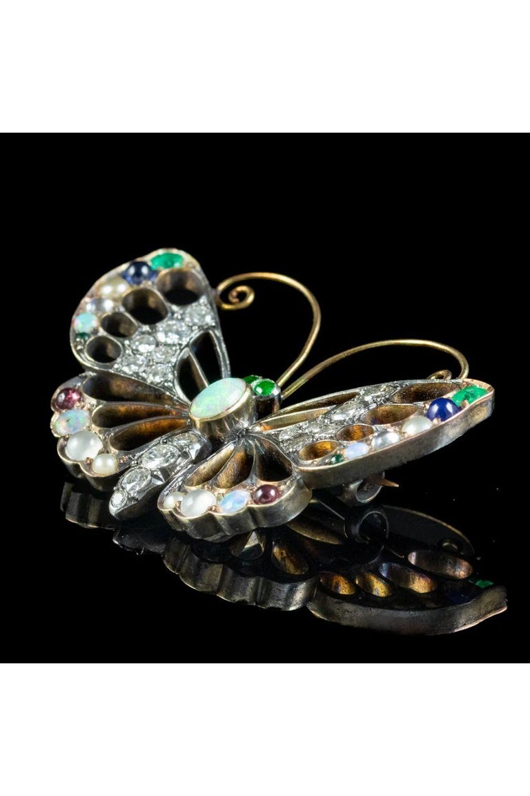Women's Antique Edwardian Gemstone Butterfly Brooch with Box, circa 1901 – 1915 For Sale