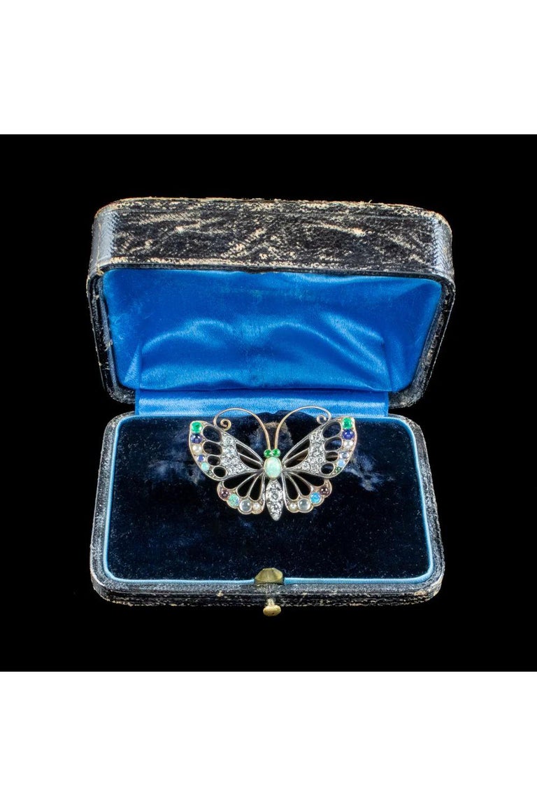Antique Edwardian Gemstone Butterfly Brooch with Box, circa 1901 – 1915 For Sale 2