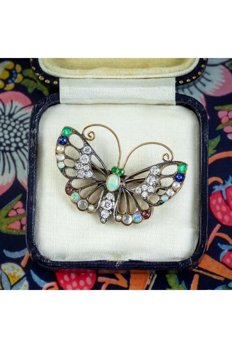 Antique Edwardian Gemstone Butterfly Brooch with Box, circa 1901 – 1915 For Sale 4