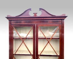 Antique Edwardian Inlaid Mahogany Narrow Cabinet, Bookcase