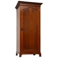 Antique Edwardian Mahogany Hall Cupboard/Wardrobe