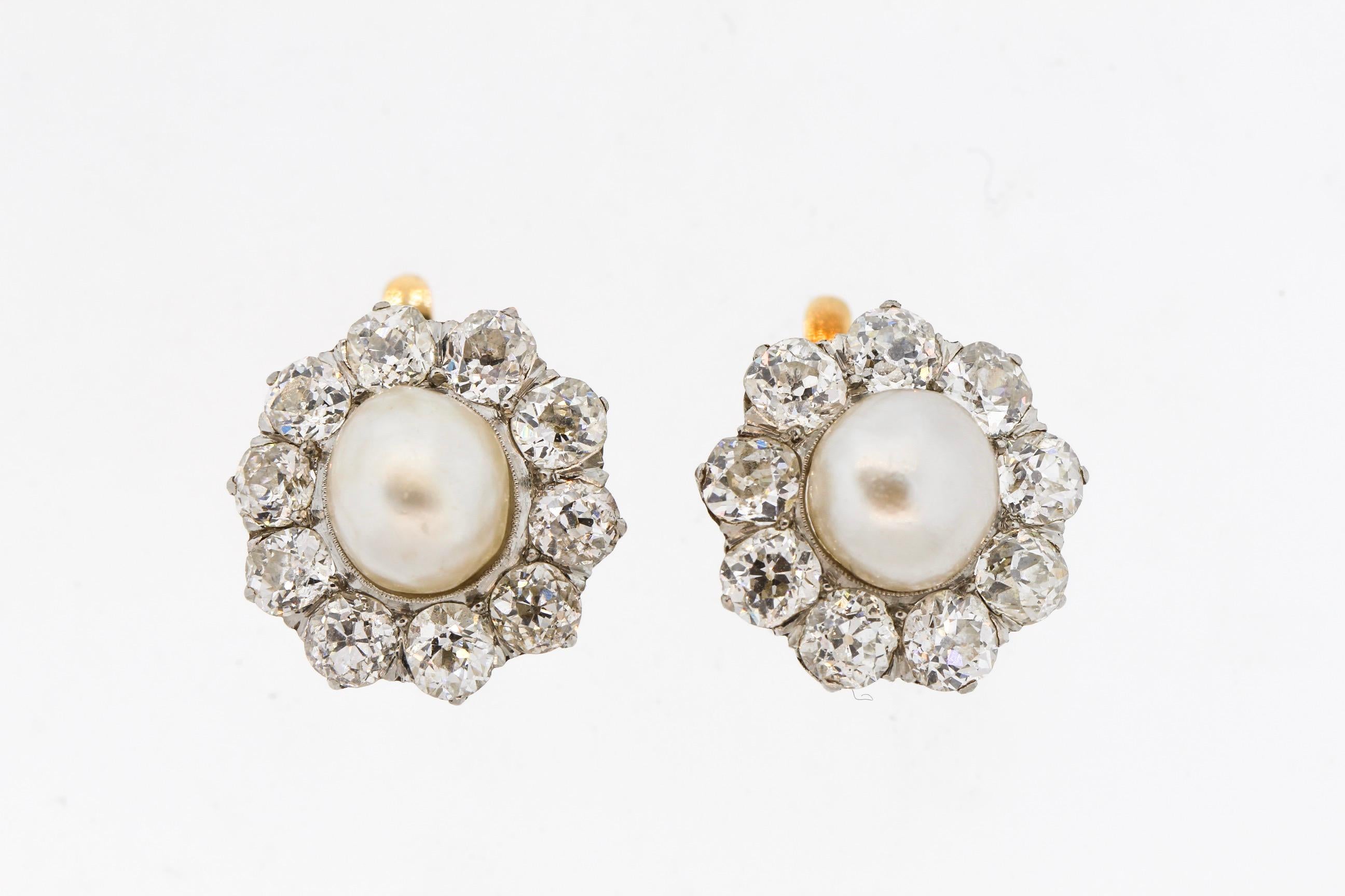 Antique Edwardian Natural Pearl Old Mine Cut Diamond Cluster Earrings 2