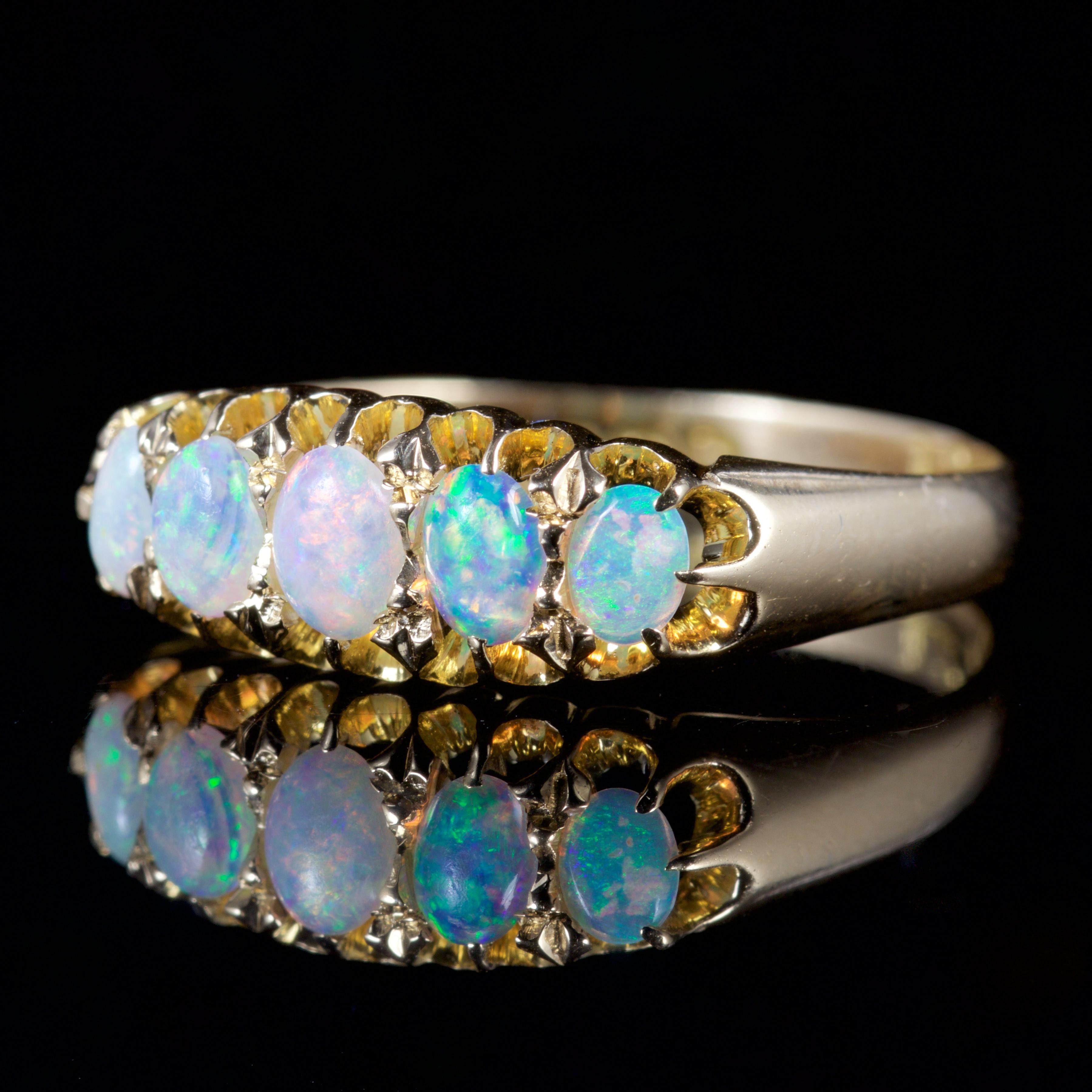 This fabulous Edwardian Opal ring is dated 1907.

The ring boasts five natural Opals which show a beautiful colour from within.

The Opals are set in a beautiful pierced gallery all original to the setting.

The natural Opal show a kaleidoscope of