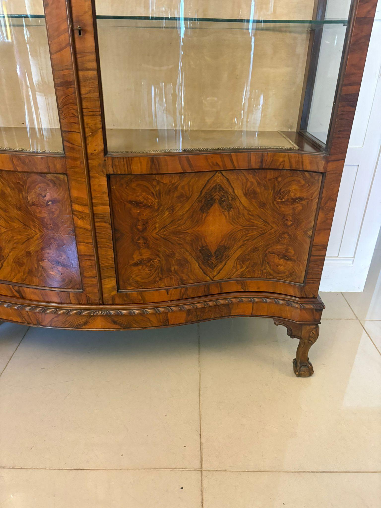 Ancienne vitrine en ronce de noyer de qualité édouardienne en vente 6