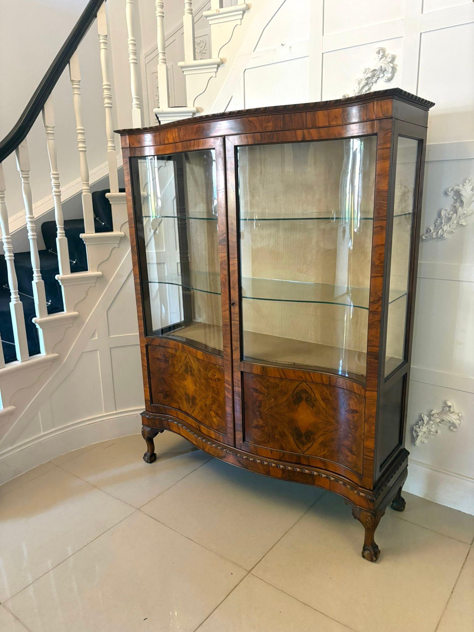 20ième siècle Ancienne vitrine en ronce de noyer de qualité édouardienne en vente