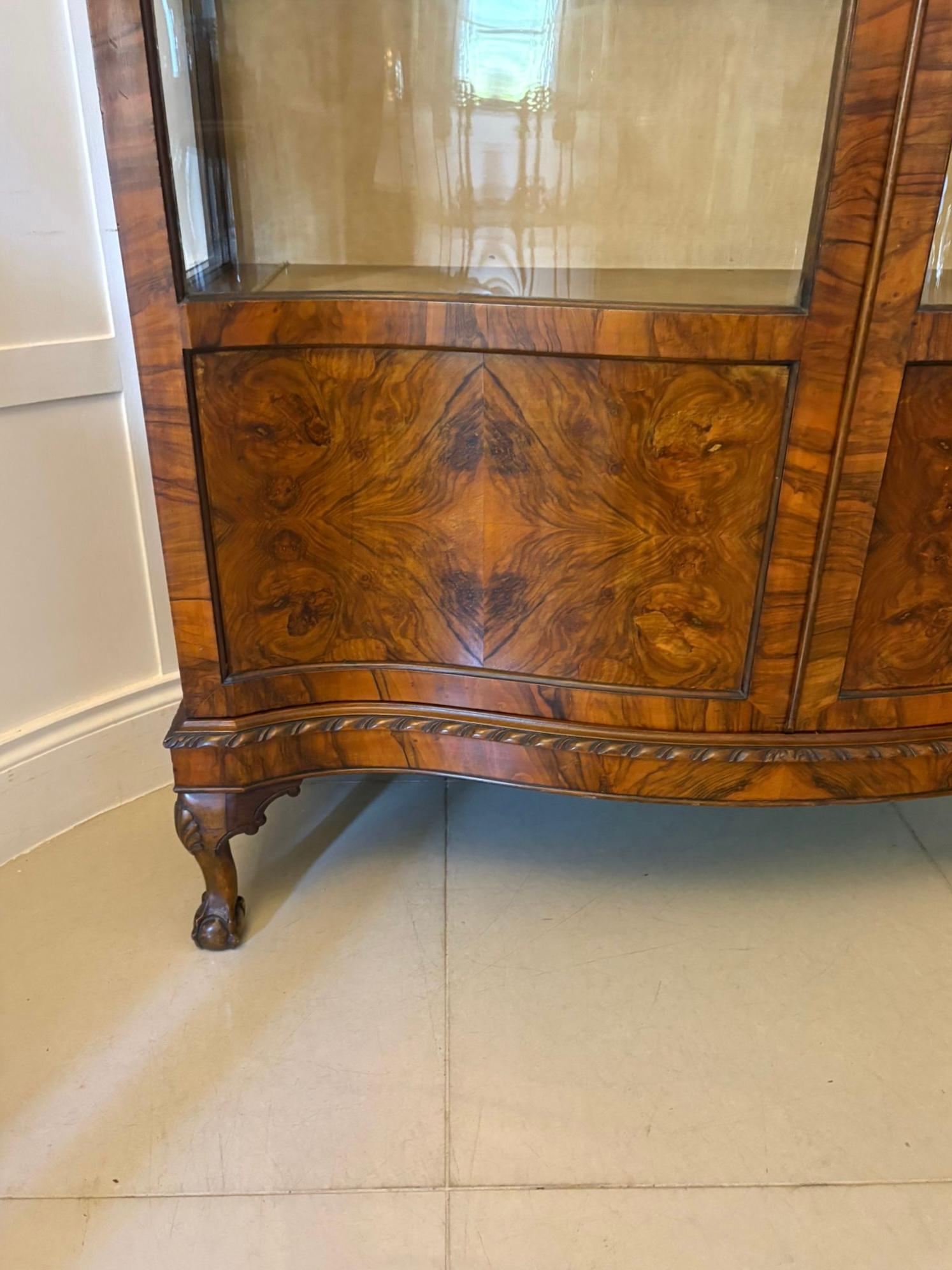 Ancienne vitrine en ronce de noyer de qualité édouardienne en vente 1