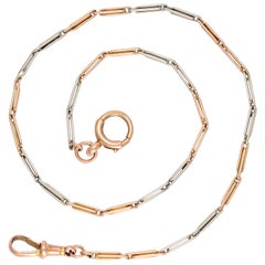 Antique Edwardian Rose and White Gold Trombone Link Chain