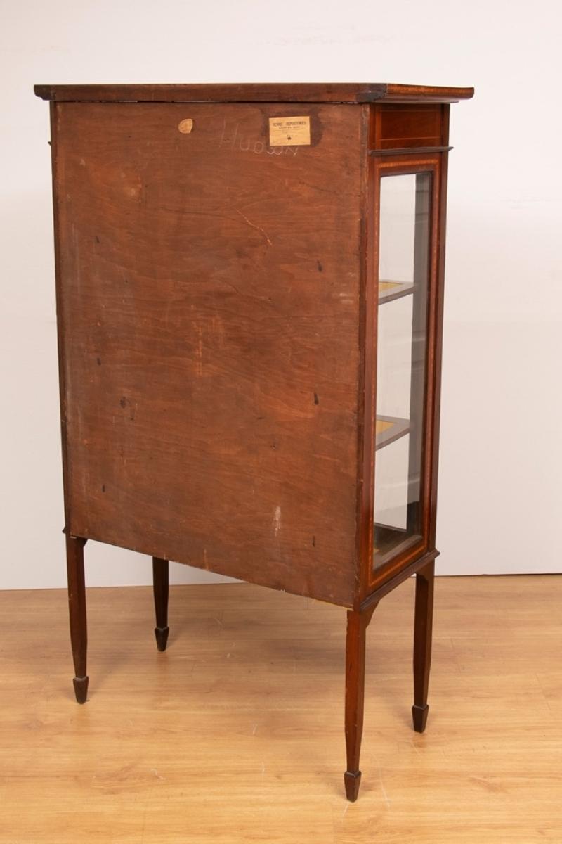 European Antique Edwardian Sheraton Revival Display Cabinet, c.1910 For Sale