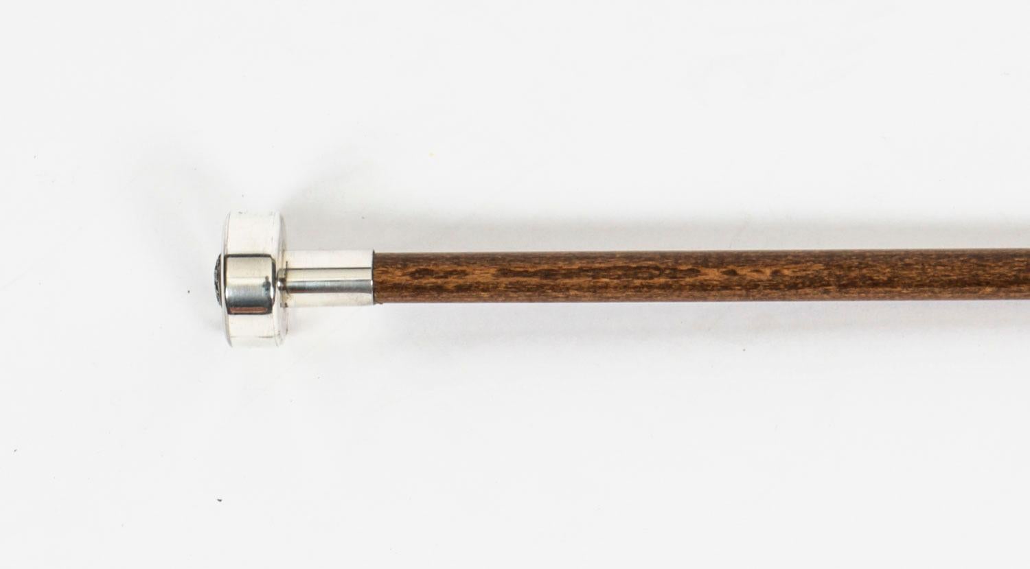 Antique Edwardian Silver Plated Malacca Walking Stick Cane, 19th Century 3