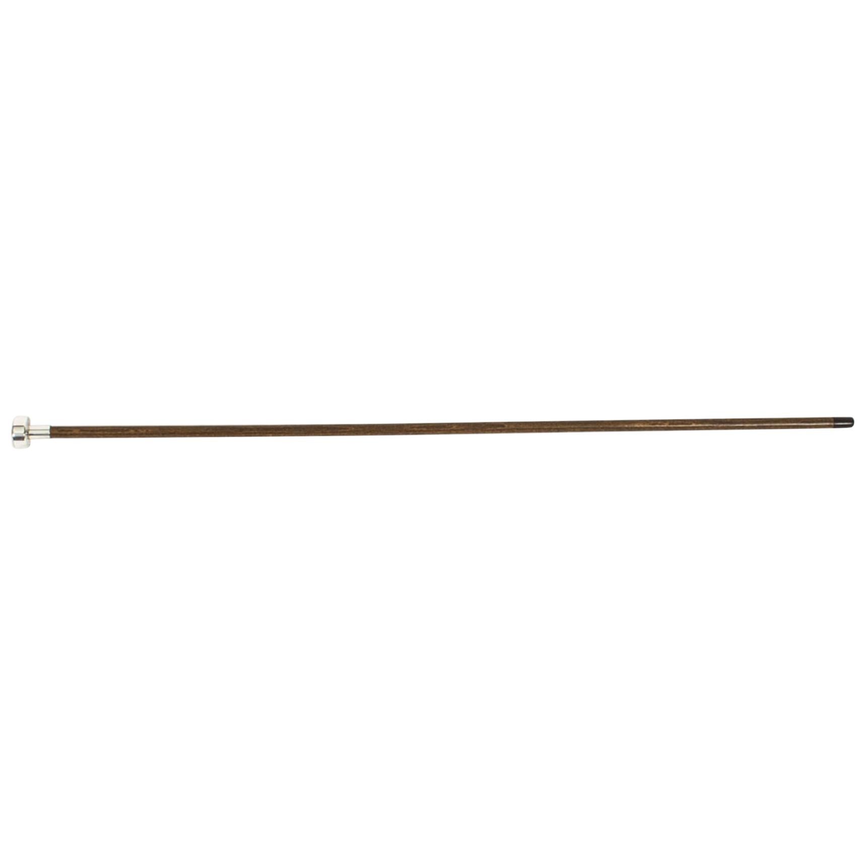 Antique Edwardian Silver Plated Malacca Walking Stick Cane, 19th Century