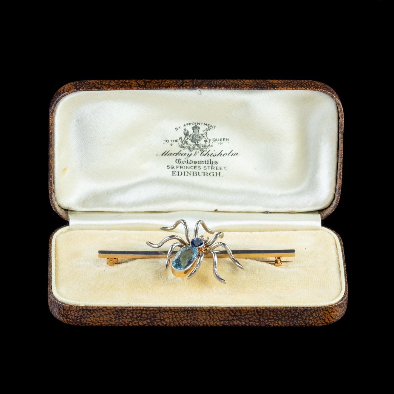 Antique Edwardian Spider Brooch Platinum Sapphire Aquamarine Scottish Boxed 3