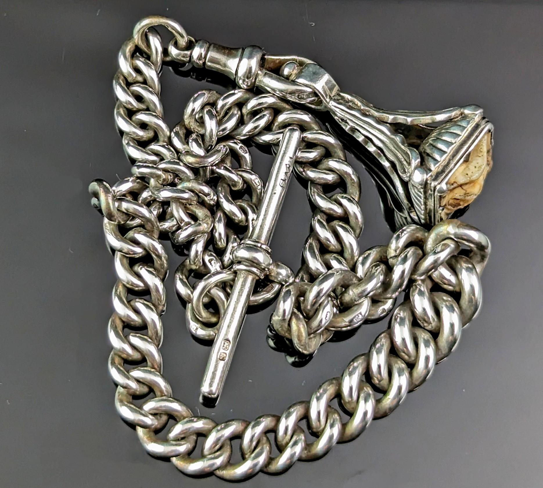 Antique Edwardian sterling silver Albert chain, Tooth fob  For Sale 1