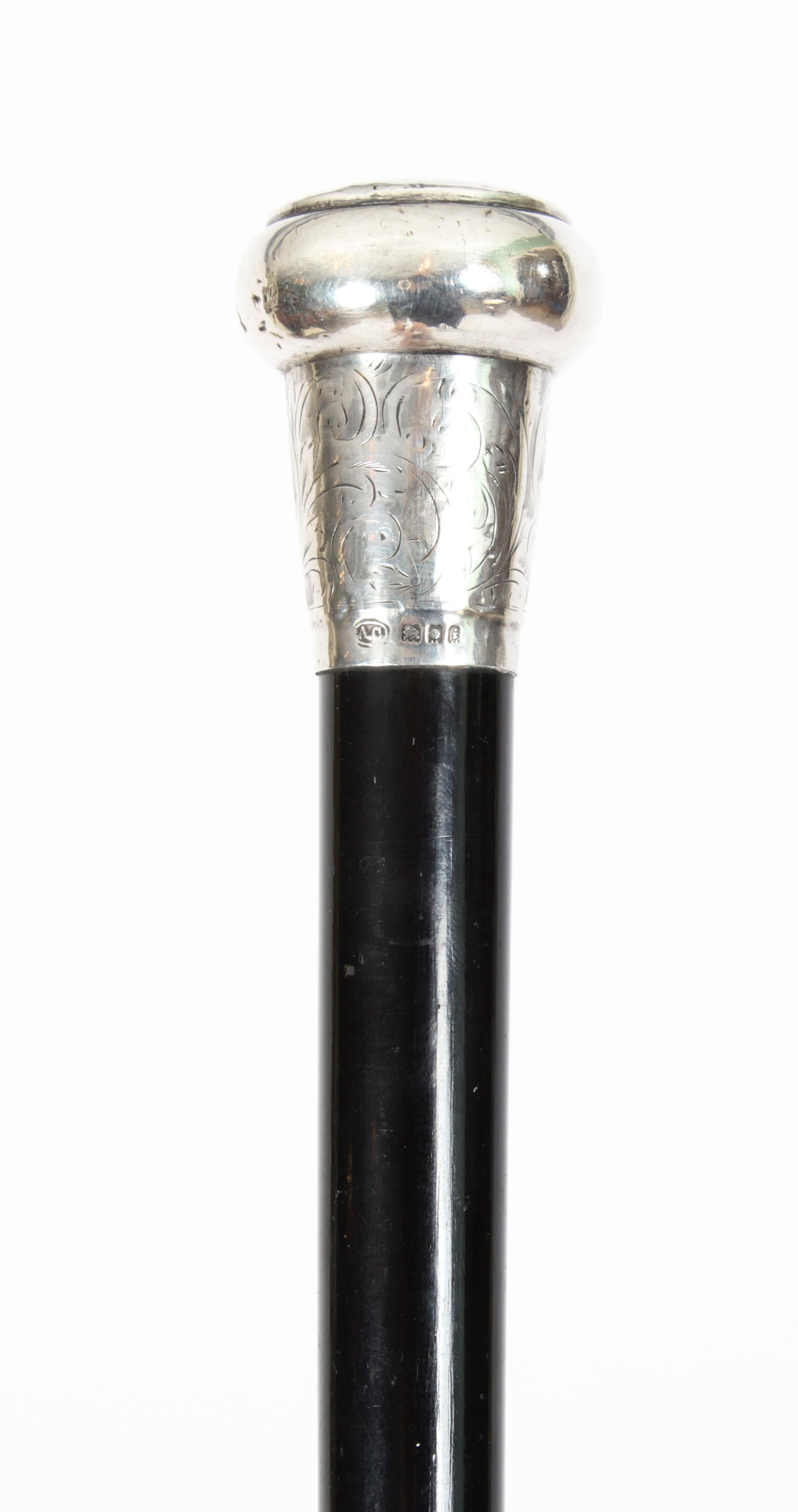 Antique Edwardian Sterling Silver & Ebonized Walking Stick Dated 1904 2
