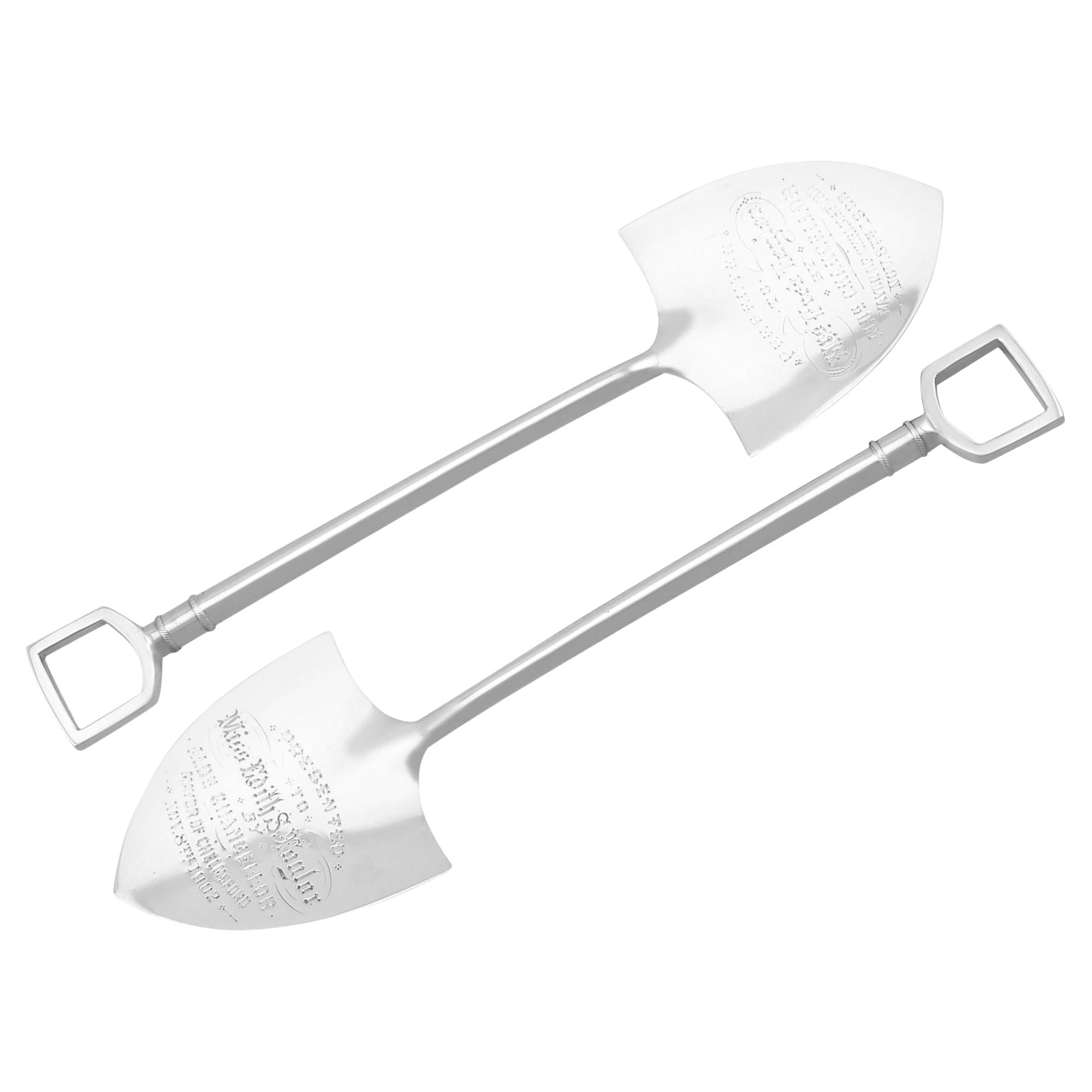 Antike edwardianische Präsentationsstühle aus Sterlingsilber im Angebot
