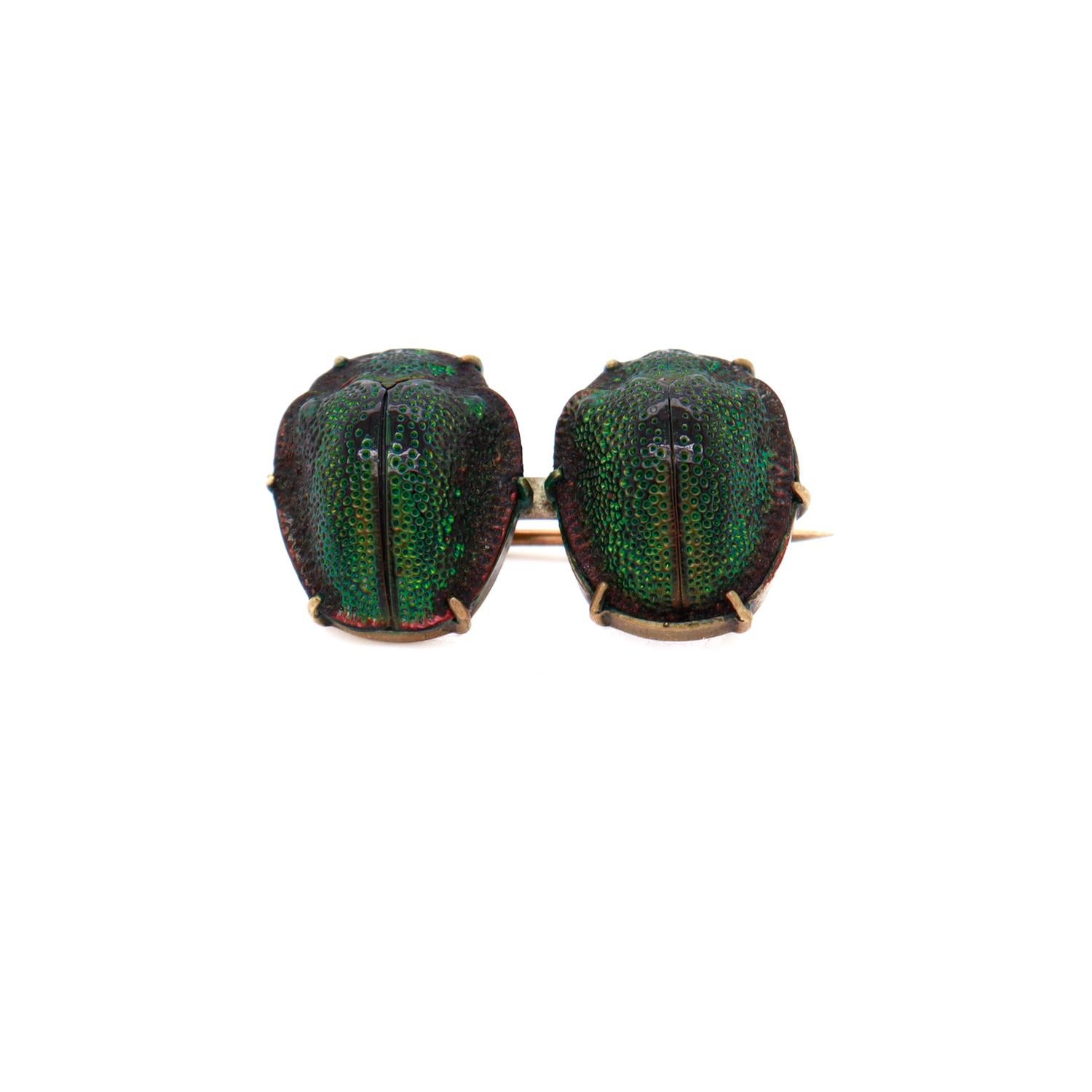 Antique Egyptian Revival Gold Filled Scarab Brooch with Real Beetle Shells For Sale 2