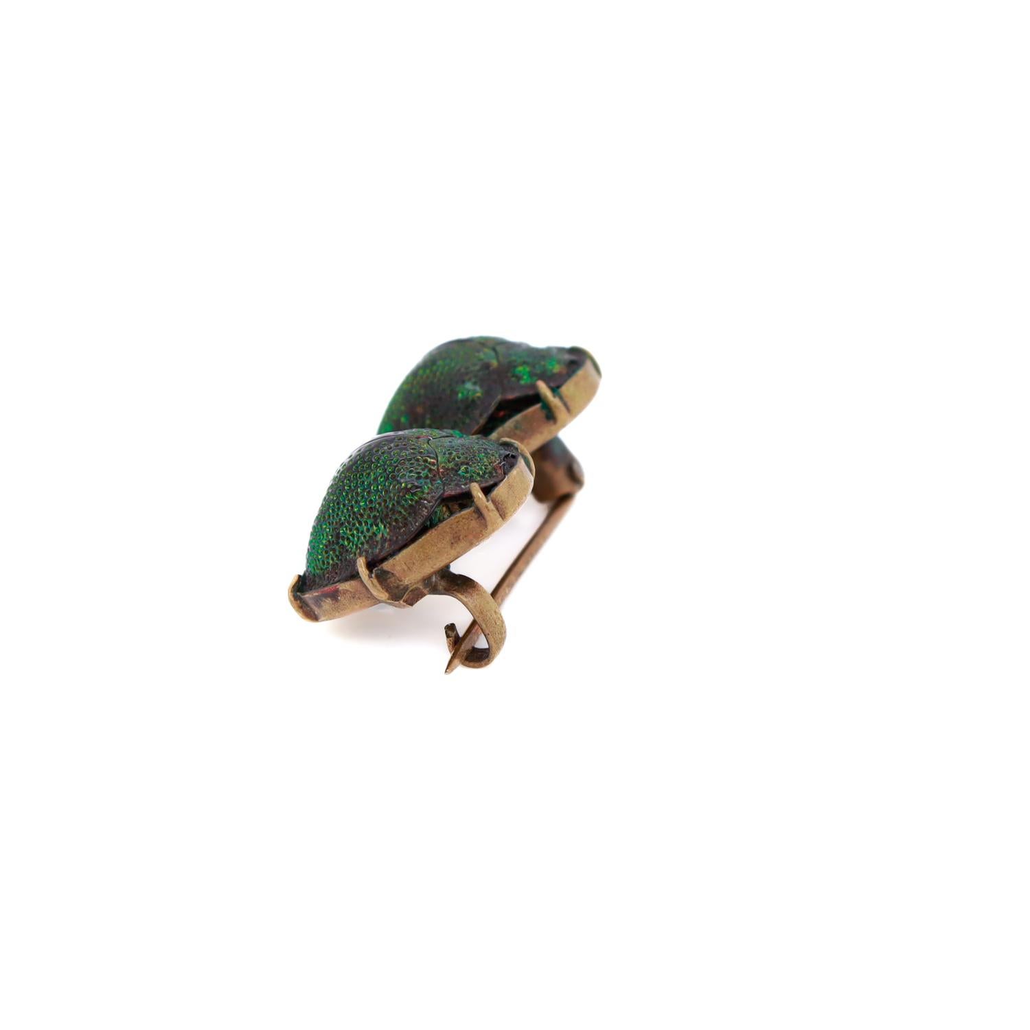 Antique Egyptian Revival Gold Filled Scarab Brooch with Real Beetle Shells For Sale 4