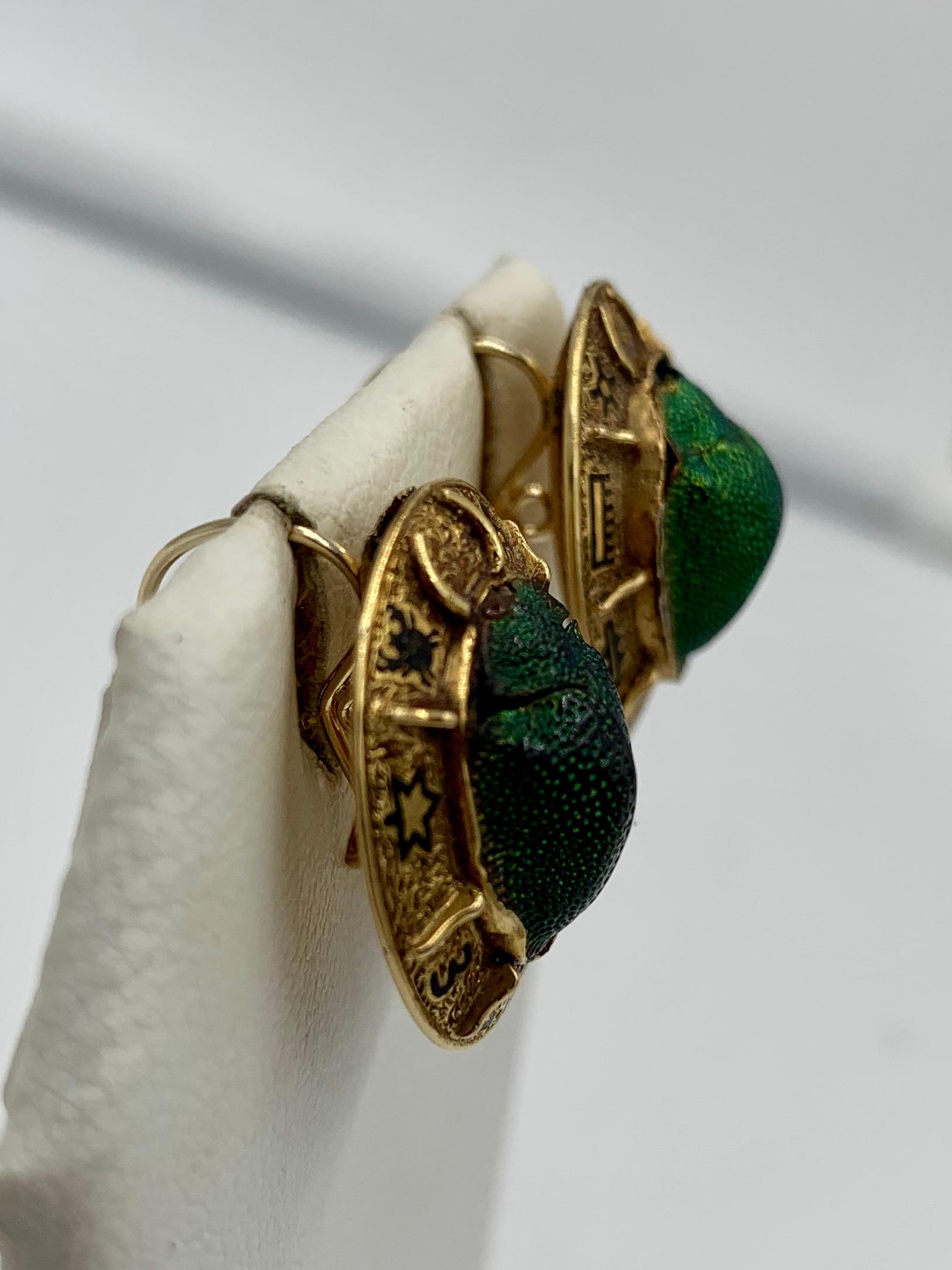 Victorian Antique Egyptian Revival Natural Scarab Earrings Enamel 14 Karat Gold