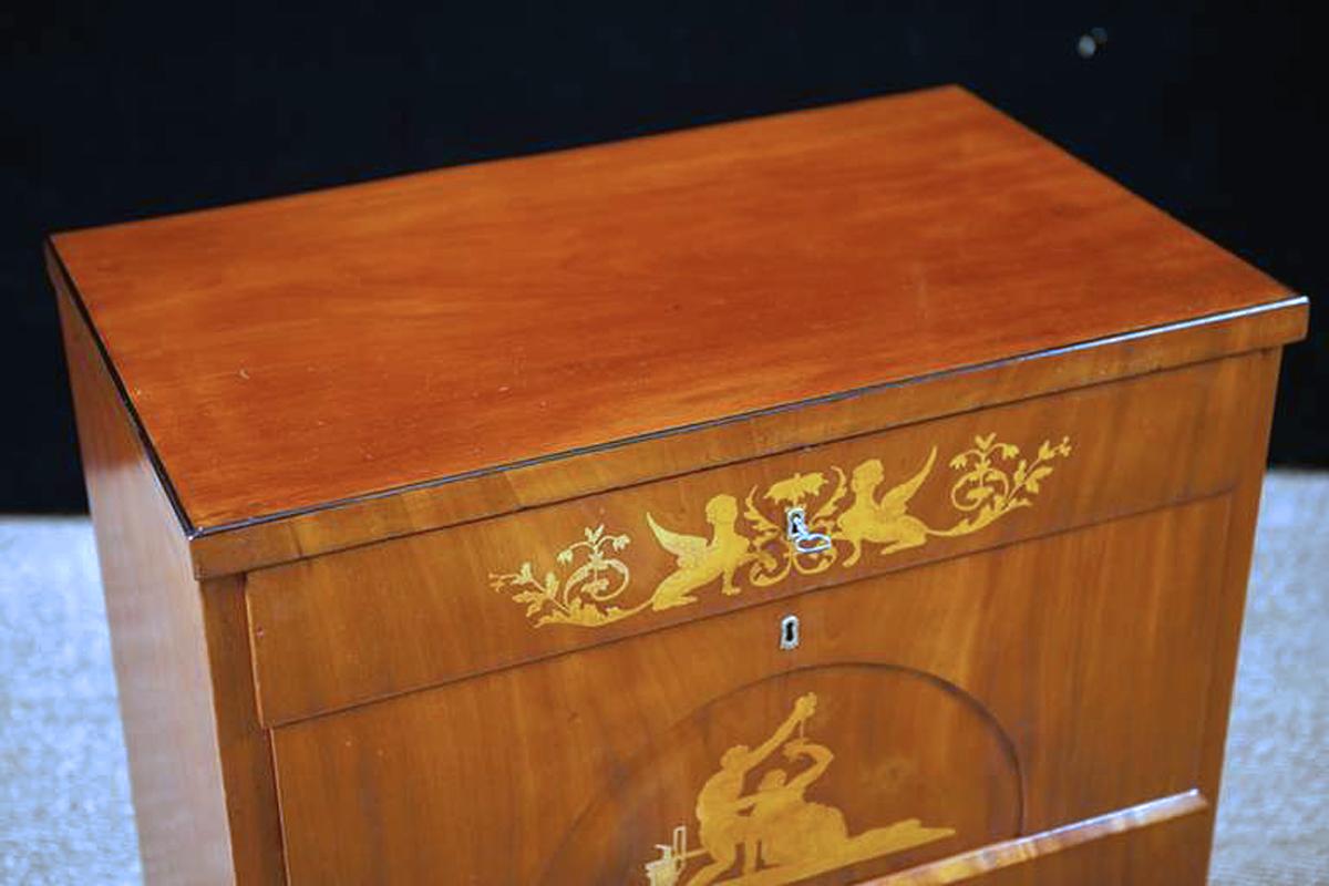 Satin Antique Empire Chest of Drawers in West Indies Mahogany with Mythological Scenes For Sale