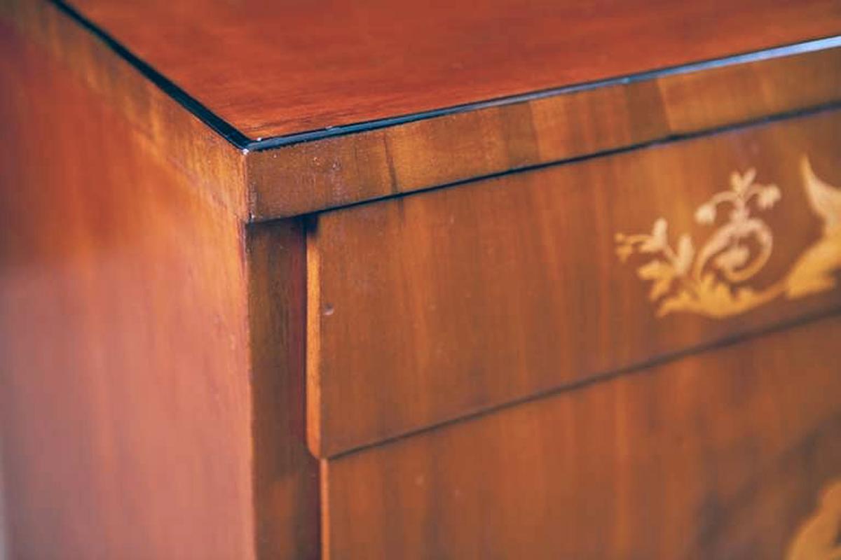 Danish Antique Empire Chest of Drawers in West Indies Mahogany with Mythological Scenes For Sale