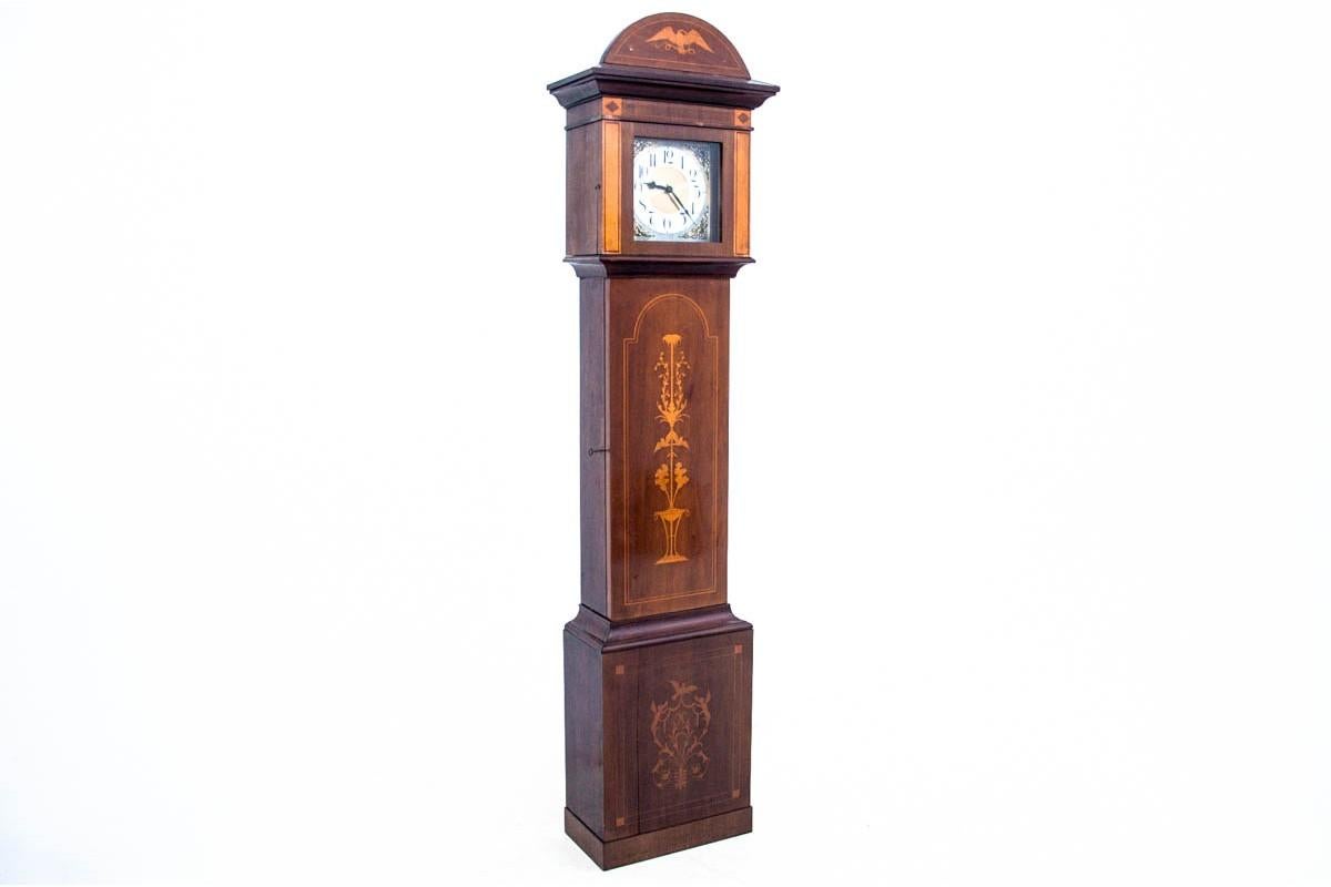 Antique Empire clock, Western Europe, circa 1860.
Dimensions: height 224 cm / width 54 cm / depth. 29 cm.