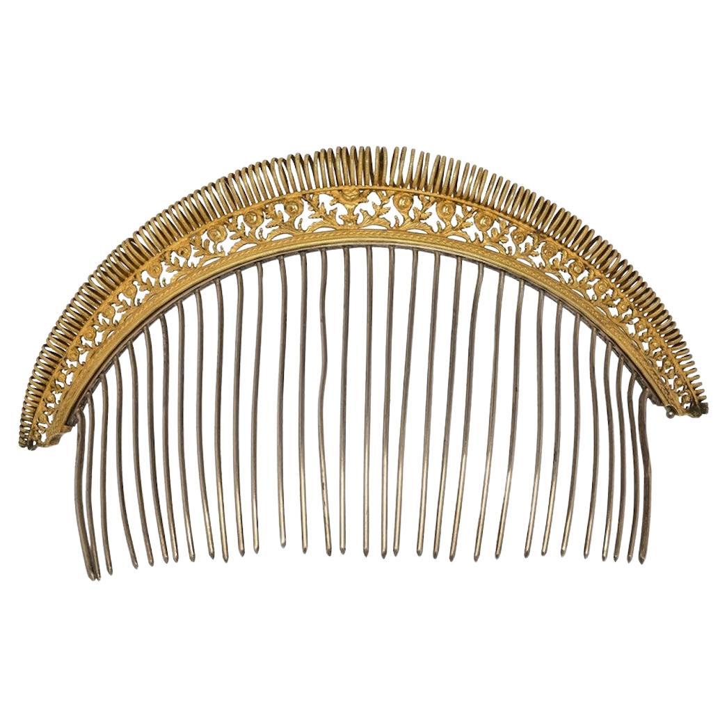 Antique Empire Hair Comb Head Ornaments Silver Ormulou Brass Two Colour Gilding For Sale