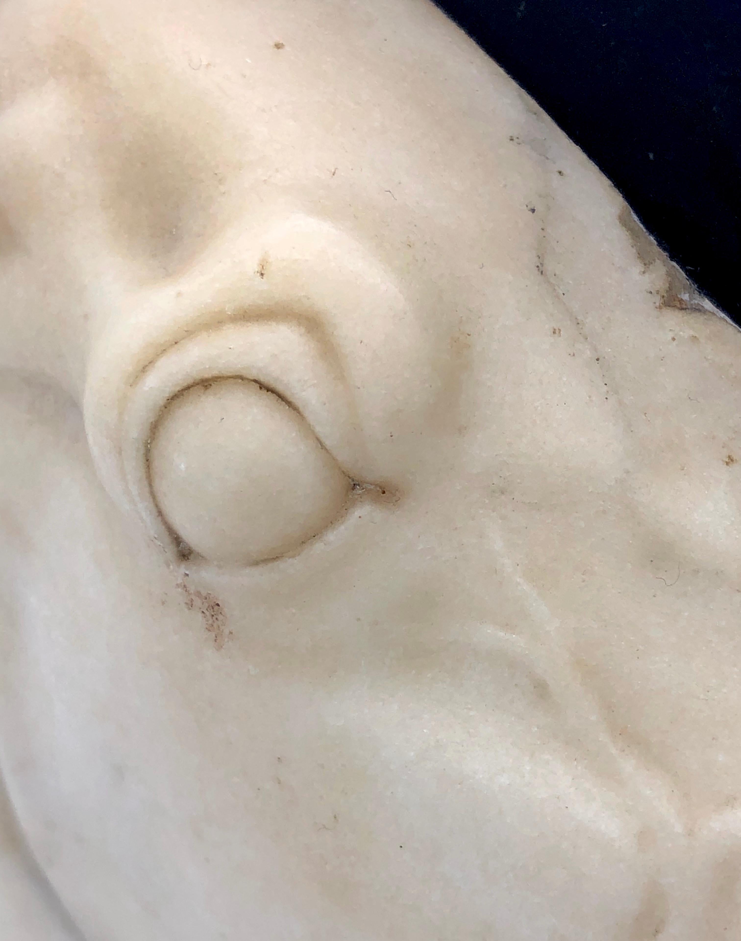 Antike Empire Italien Gran Tour Skulptur Relief Marmor Pferdekopf Granit im Angebot 6