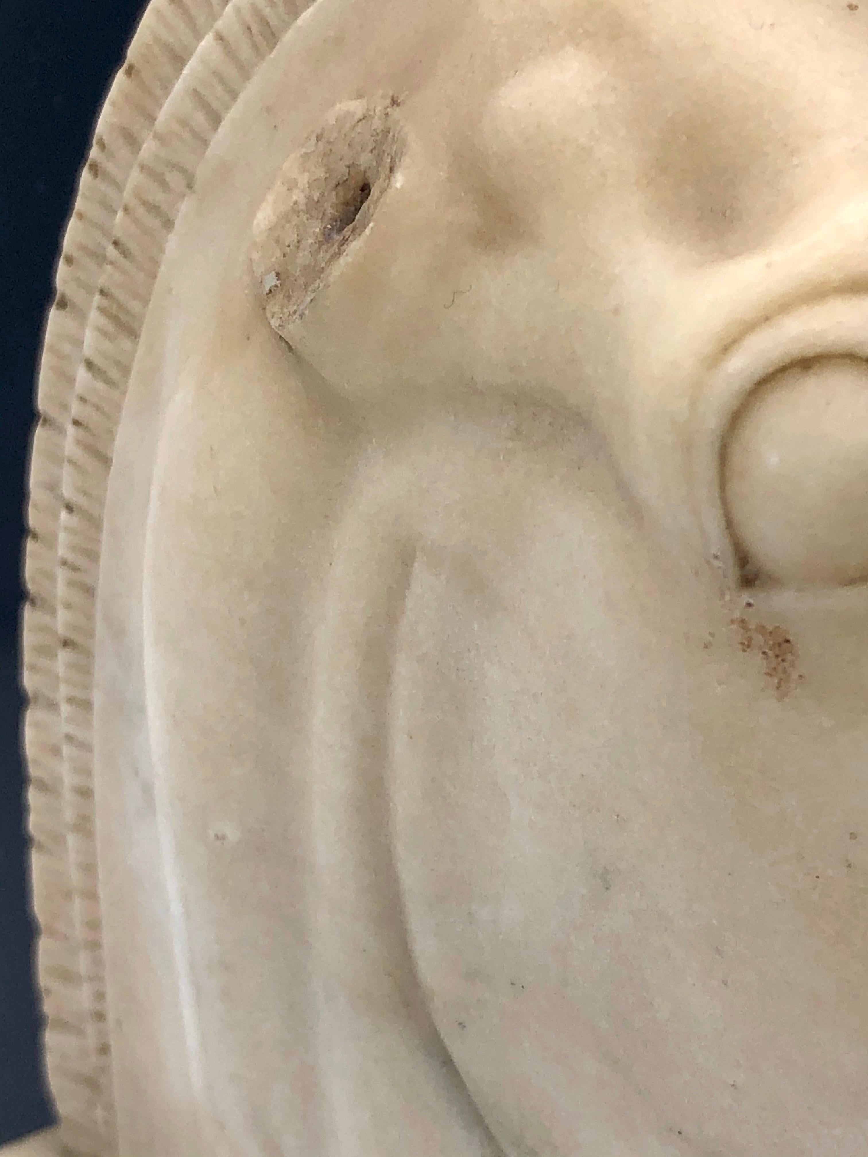 Ancienne sculpture de tête de cheval Empire Italie Gran Tour en marbre en relief Granite en vente 7