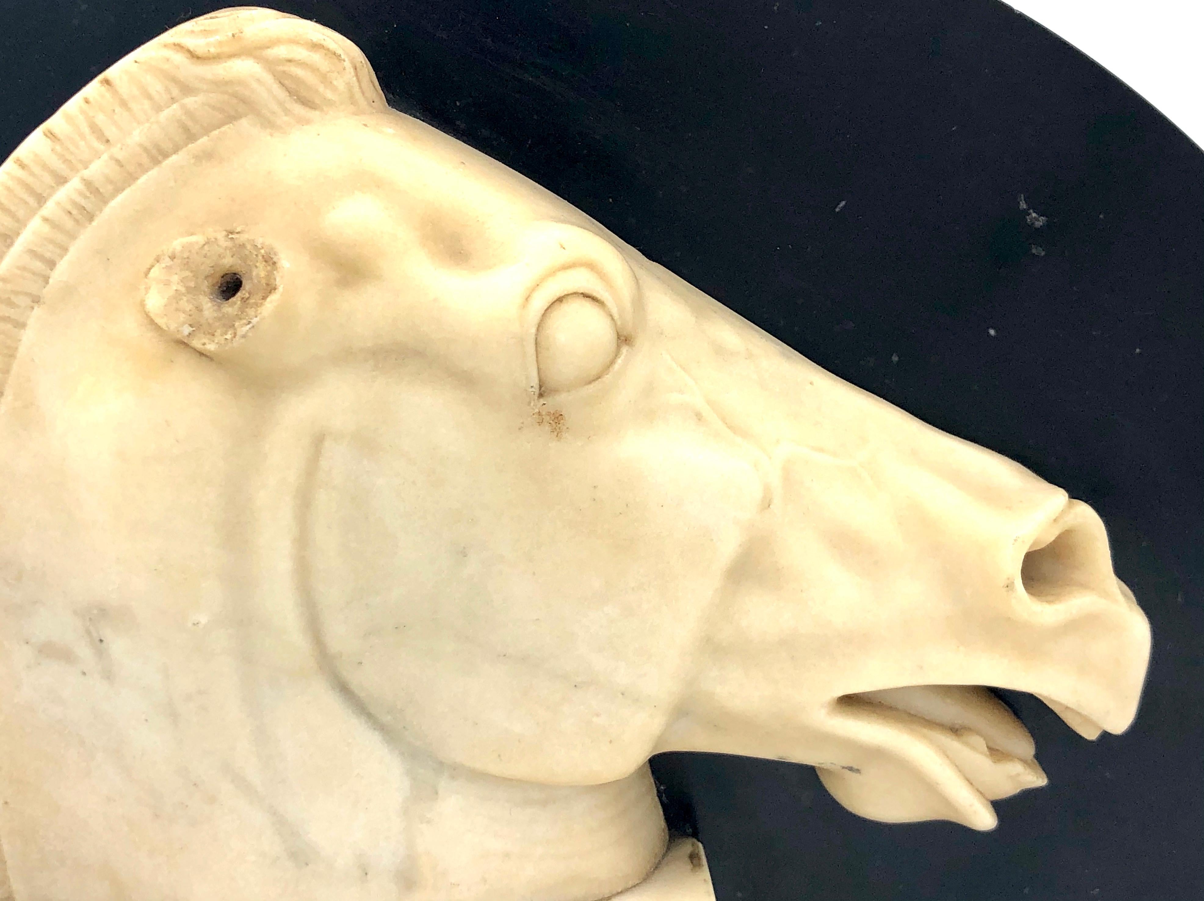 Diese  der außergewöhnliche Marmor-Pferdekopf wurde nach einem antiken Vorbild geschnitzt. Der ausdrucksstarke und schöne Kopf hat eine wunderbare Eleganz, er ist auf eine schwarze Granitplatte montiert. 