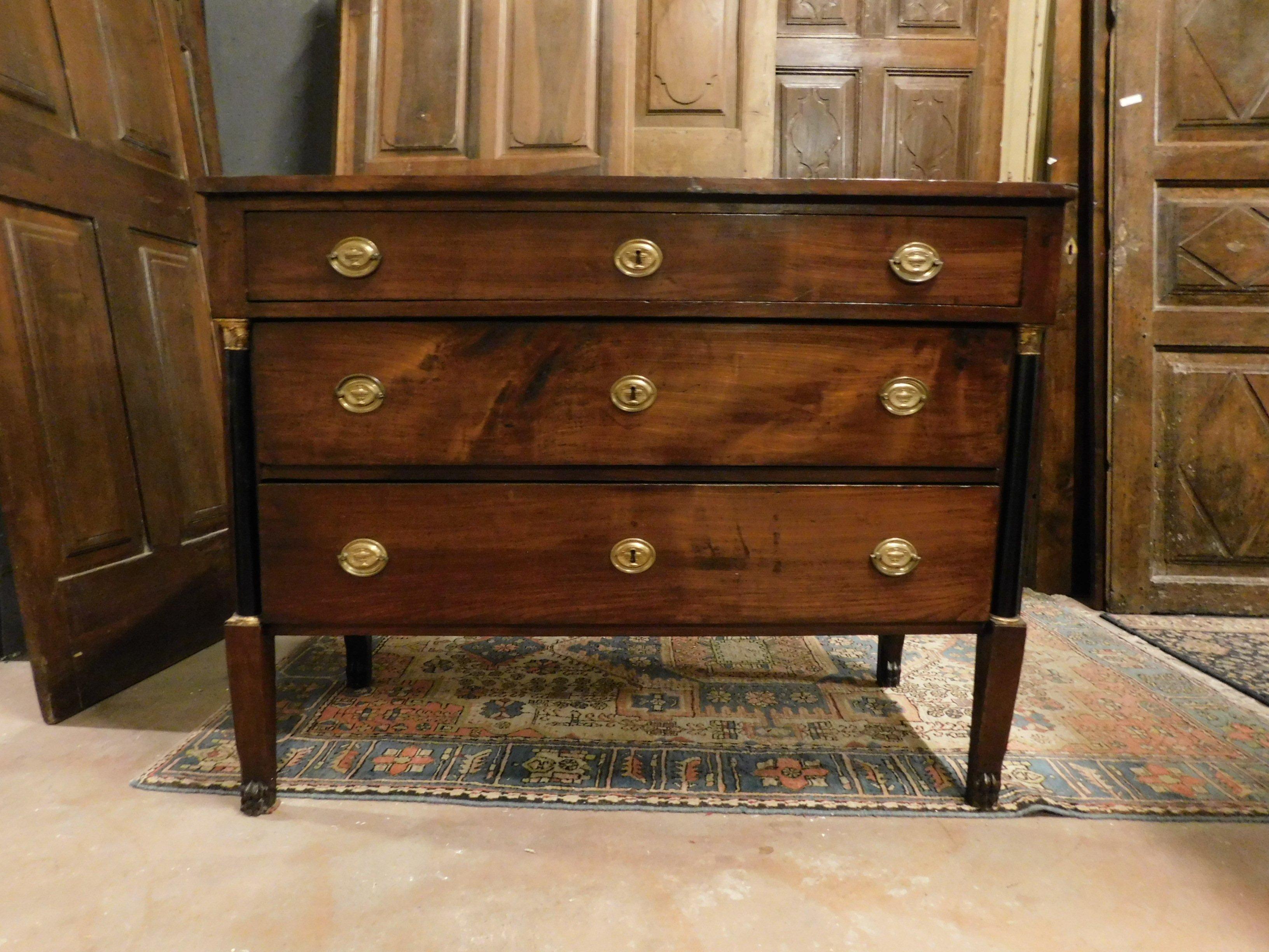 Italian Antique Empire Style Chest of Drawers in Walnut with Columns, Early 19th Century