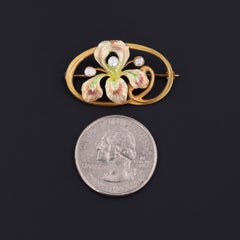 Antique Enamel Iris Flower Brooch of 14k Gold