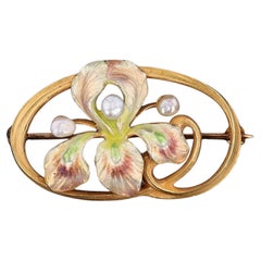 Antique Enamel Iris Flower Brooch of 14k Gold