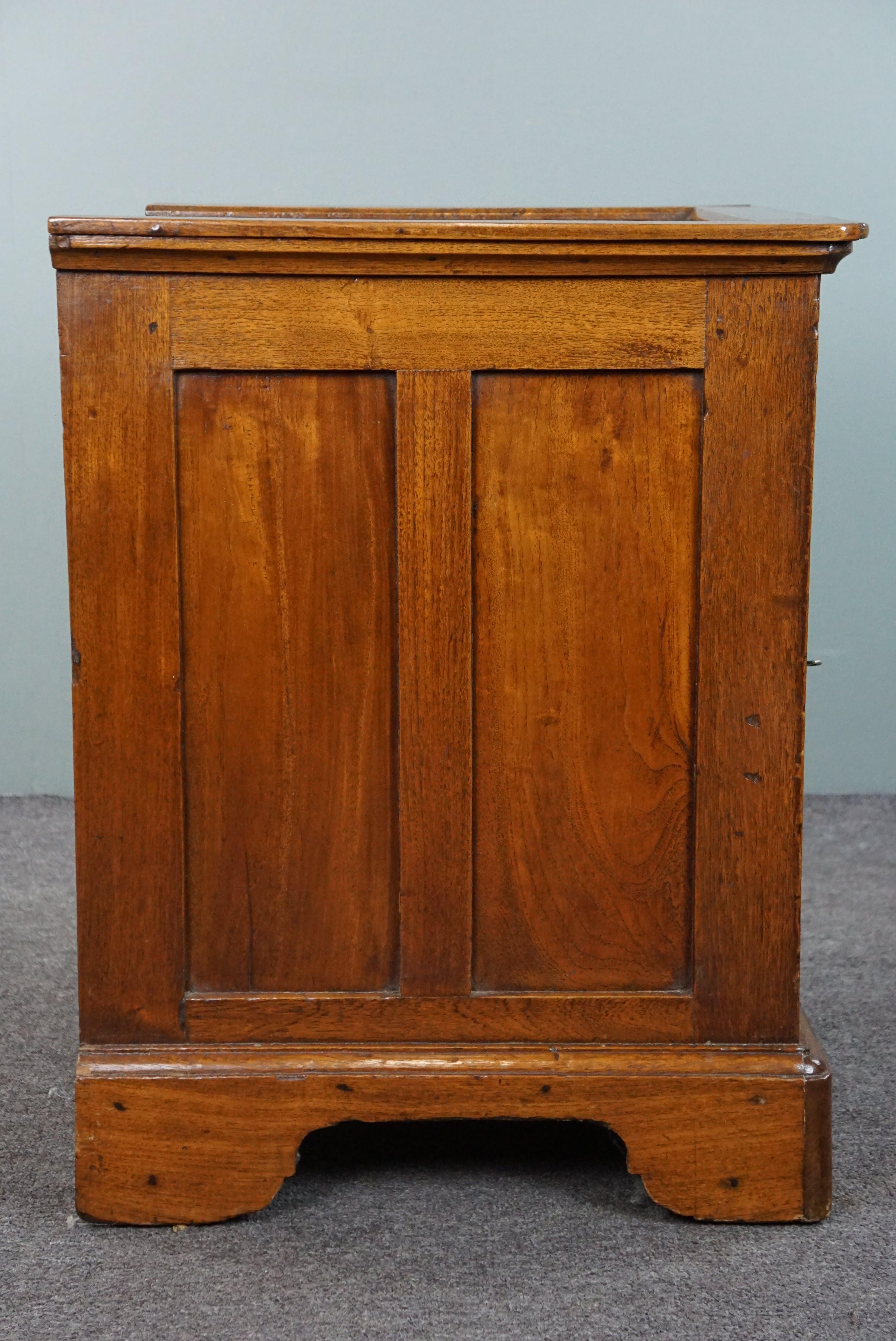 Antique English 1-door cabinet/side table, mid/late 19th century For Sale 2