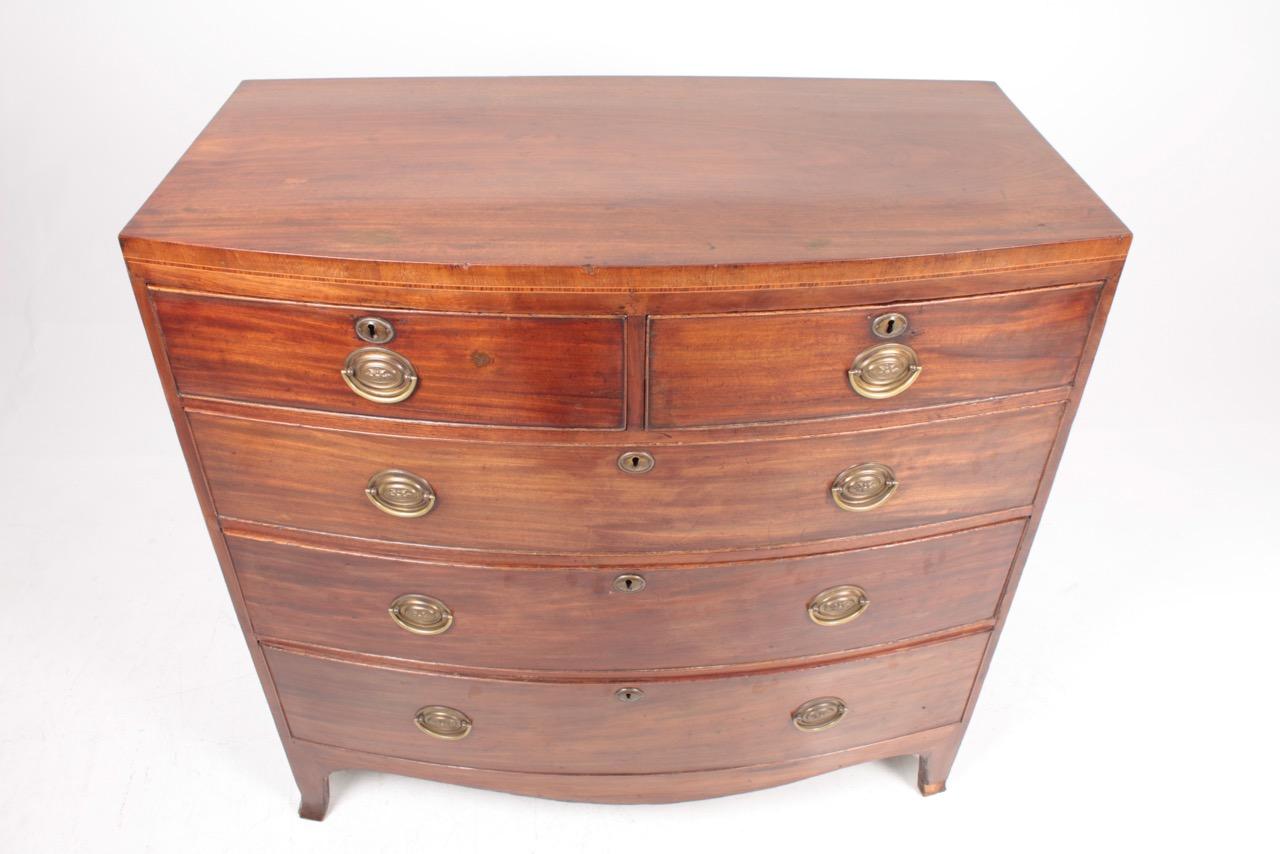 Antique English 19th Century Chest of Drawers in Mahogany 6