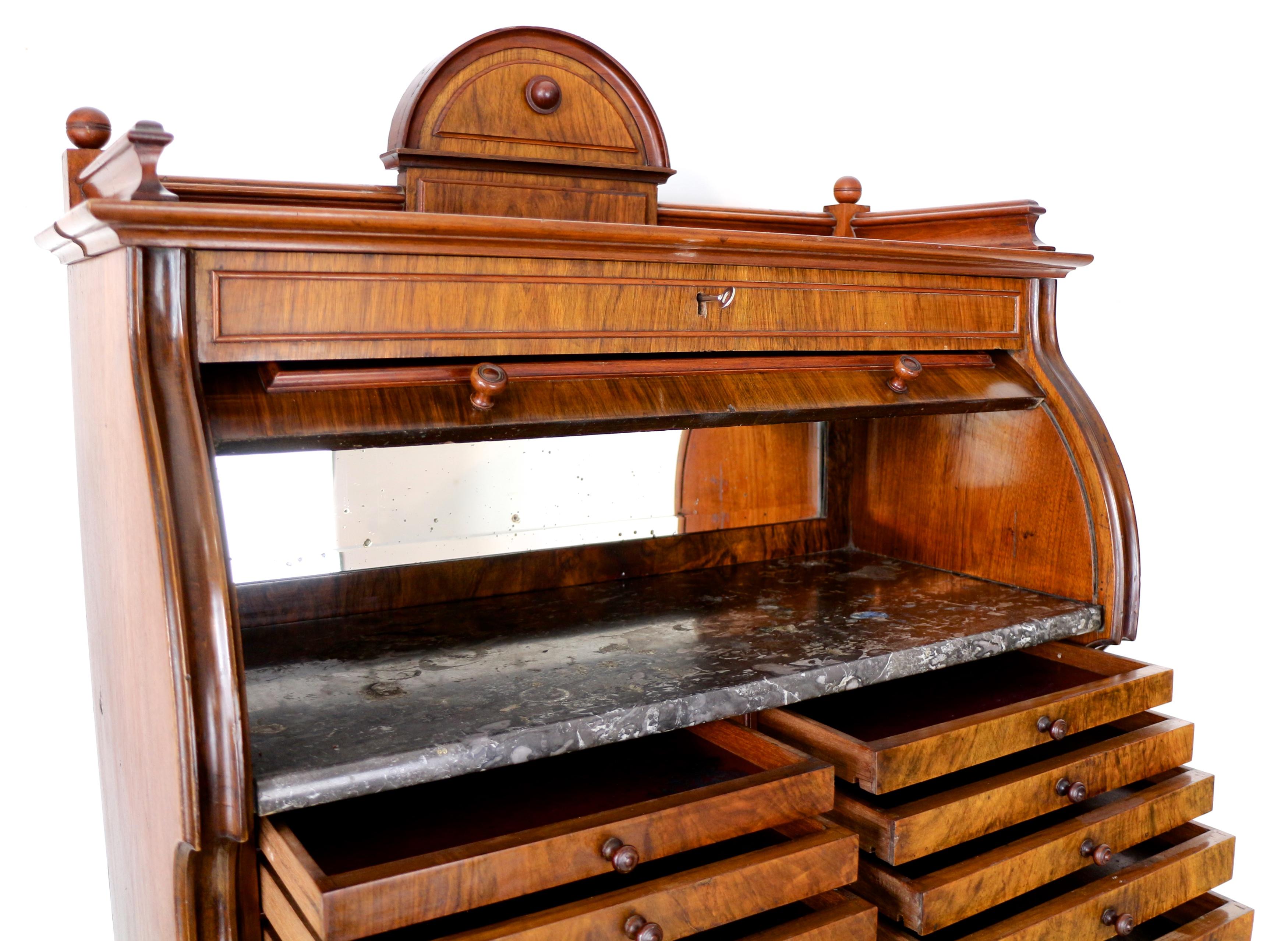 Antique English 19th Century Victorian Burr Walnut Dentist's Collector's Cabinet For Sale 10