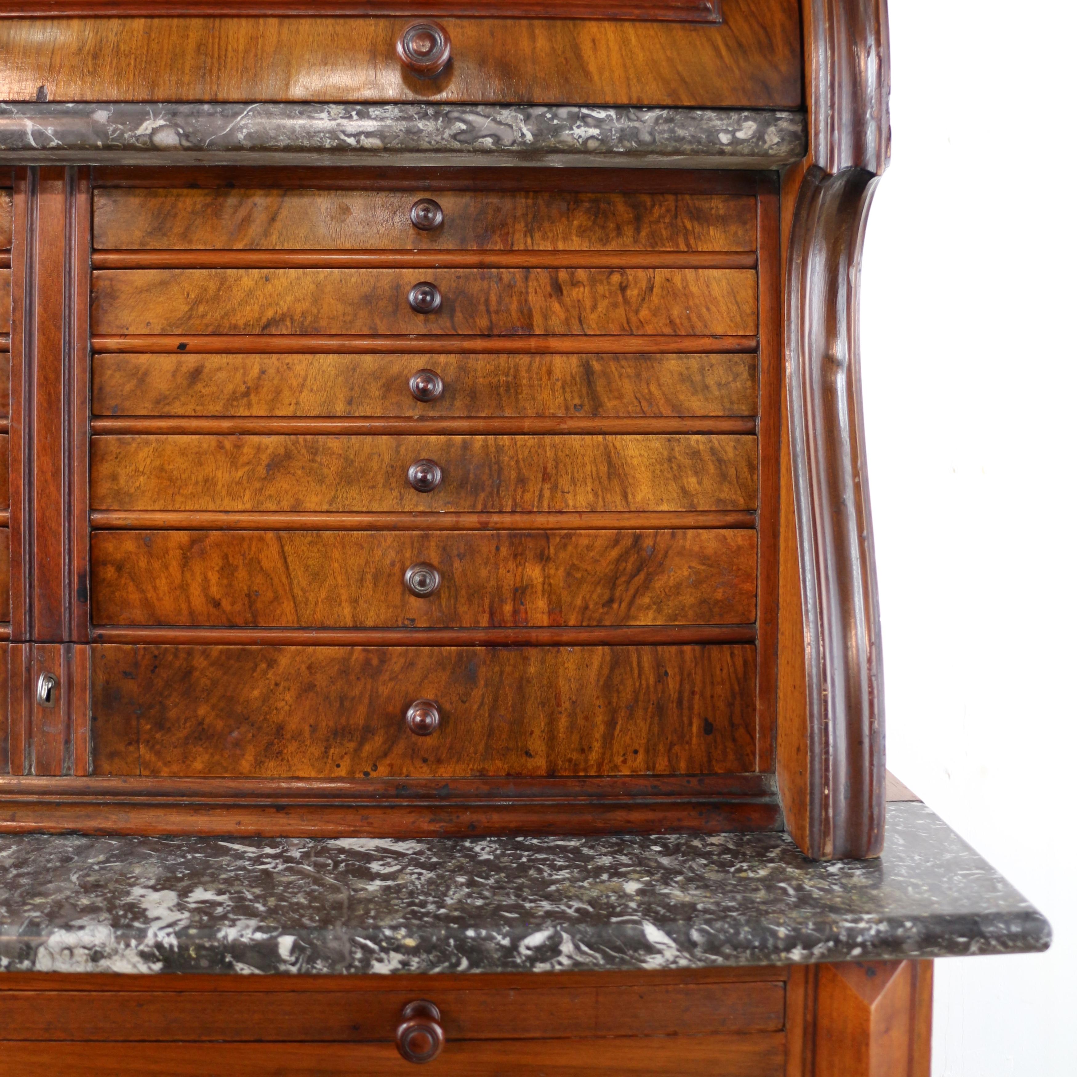 Antique English 19th Century Victorian Burr Walnut Dentist's Collector's Cabinet For Sale 1